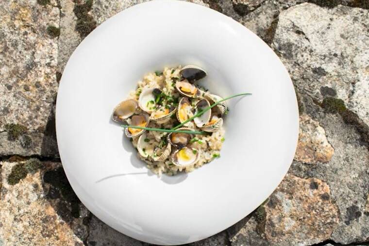 3 recetas para cuidar tu alimentación esta primavera Cocinando tu salud arroz con Berberechos y algas