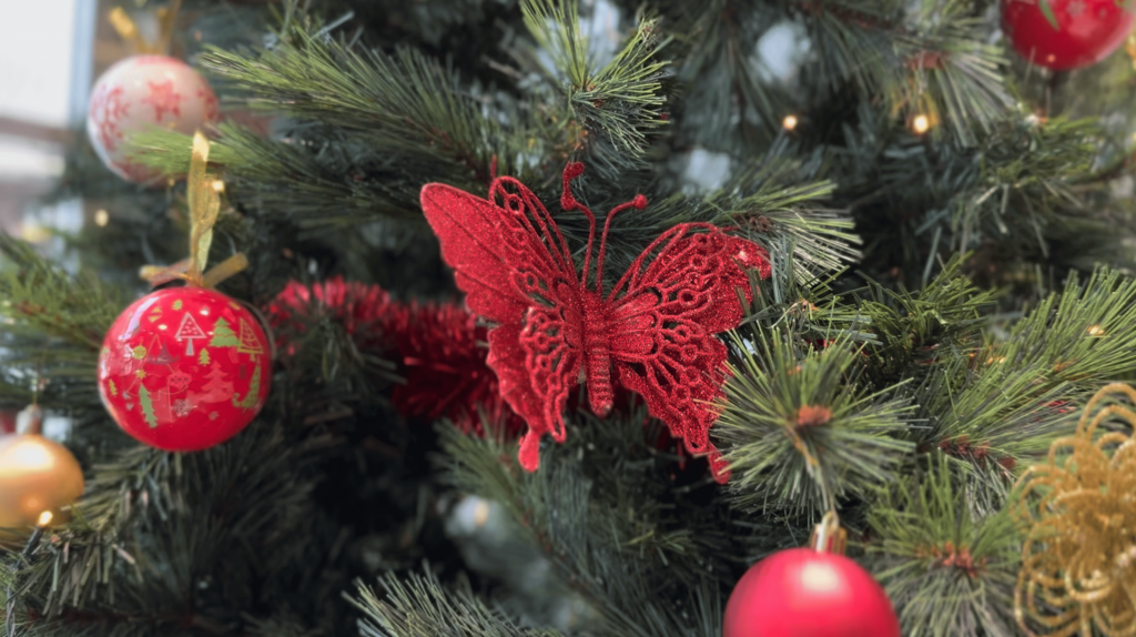 cómo acompañar a una persona con cáncer